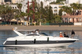 Kreuzfahrterlebnis in Puerto Banús mit Delfinbeobachtung