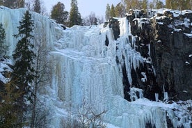 Rovaniemi: Korouoma Canyon & Frozen Waterfalls Tour with BBQ