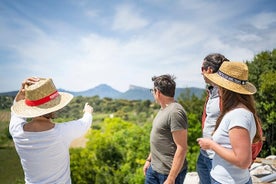 Hálfdags Languedoc Pic Saint-Loup vínferð fyrir smáhóp frá Montpellier