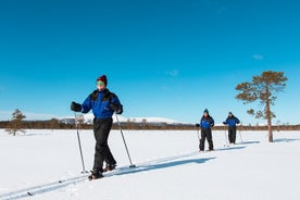 Bosskiën in de natuur