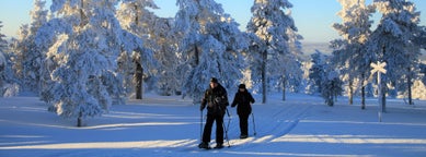 Sodankylä road trips