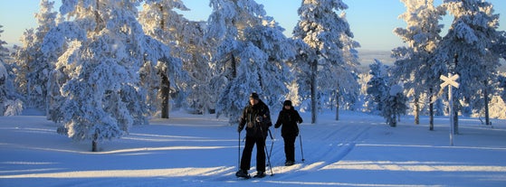 Sodankylä