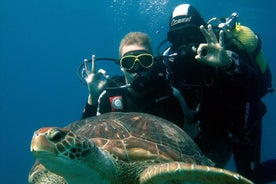 Pruebe el buceo en el sur de Tenerife