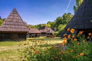 Maramureș Village Museum