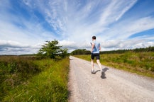 Lauftouren in Berlin, in Deutschland