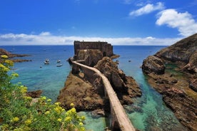 Viagem diurna para grupos pequenos à Ilha Berlenga Grande Para Grupo Pequenos saindo de Lisboa