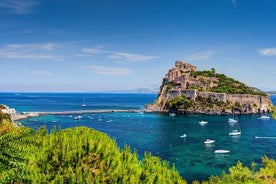 Viaje en barco a la isla Ischia desde Nápoles - Experiencia privada