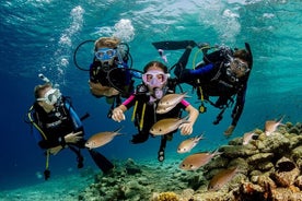 Buceo de día completo en Marmaris Dos inmersiones con almuerzo Recogida en el hotel