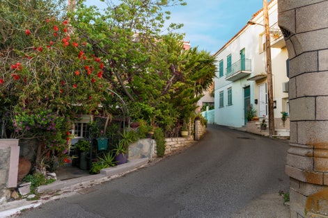 Photo of Traditional neighborhood with courtyards of houses with blooming flowers, in the town of Myrina on the island of Lemnos.