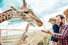 Ohita jonot Hellabrunn Zoo Münchenissä siirroilla