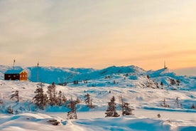 Winter Snow Hiking Adventure | ViFlowExperience