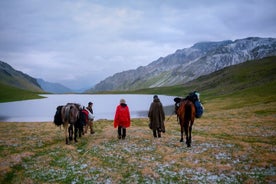 3ja daga hestaferð í Lagodekhi þjóðgarðinum