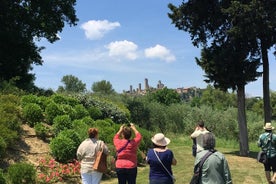 Siena, San Gimignano og Pisa fra Lucca