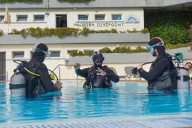 Experiencia de buceo para principiantes