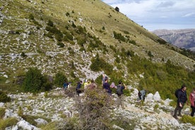 Vlore : Llogara National Park Infocenter to Deep Neck