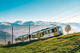 Excursion d'une journée au Mont Rigi au départ de Lucerne