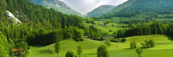 Nengshof Ferienhaus Glockenblume