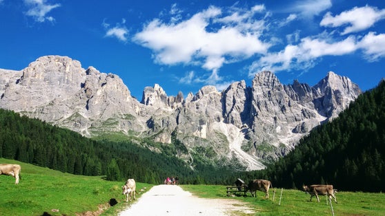 photo of view of The Pale of San Martino group view from Malga Venegia in the Dolomites., Primiero San Martino di Castrozza, Italy.