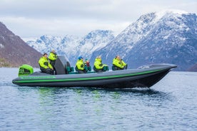 Guidet båt-tur i Geiranger