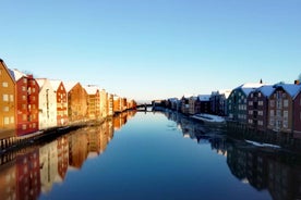 Trondheim : Explore the city of kings with a local guide