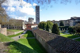 Private Walk through the Lucca Walls