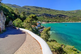 Private Ganztagestour: Atemberaubende Arrábida-Weinberge - Kleinkinder / Kinder kostenlos