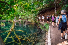 Frá Split: Leiðsöguferð um Plitvice-vatnaþjóðgarðinn