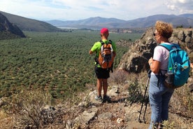 Tour privato di un giorno DELPHI PIÙ escursionismo, ciclismo o degustazione di olive