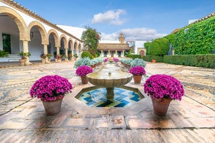 Palacio de los Marqueses de Viana