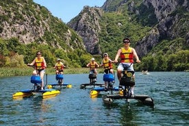 Safari en vélo nautique