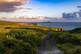 Toe Head Clifftop vandretur i West Cork