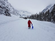 Sledding tours in Tromso, Norway