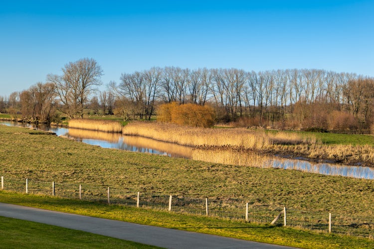 Wedel, Germany, near Hamburg. Meadows behind the dyke of the river Elbe close to Schulau on a sunny winter day.