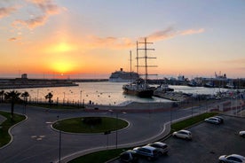 Civitavecchia Port: Private or Shared Guided Tour of Rome