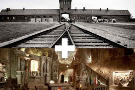 Kraków: Auschwitz-Birkenau & Salt Mine Full-Day Guided Tour