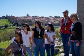 Avila with Walls & Segovia with Alcazar from Madrid 