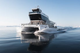 Beiarfjord & Saltstraumen Cruise with Guide