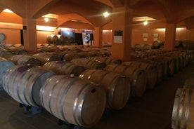 Degustazione di vini-Fabbrica di olio d'oliva-Villaggi tradizionali- Piccolo gruppo