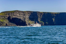 Frá Galway: Dagsferð um Araneyjar og Moher kletta