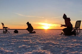 Private Tour Ice Fishing Experience from Rovaniemi