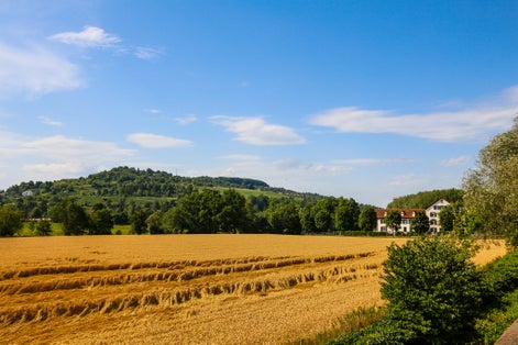 Photo of  beautiful landscape in Fondation Beyeler, Basel, Switzerland.