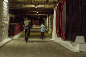 Tour privato in bici alla cantina Cricova con degustazione di vini e pranzo