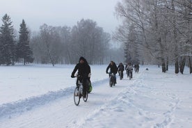 カフェストップ付きタリンウィンターバイクツアー