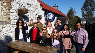 Tour dei pub di Dublino e Wicklow Mountain Tour per piccoli gruppi massimo 15 persone