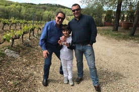 Dia privado entre vinhedos e adegas em Chianti