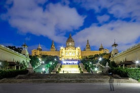 Private Sightseeing in Barcelona By Night