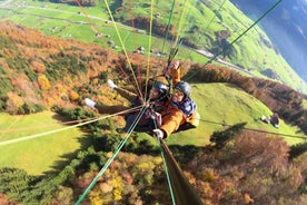 Grindelwald: Paragliding Tandem Flight