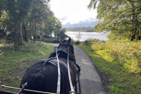 Killarney National Park Jaunting Car Tour