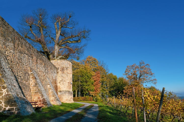 Photo of Outer wall of medieval fortress called 'Burg Steinsberg' in Sinsheim , Germany. 