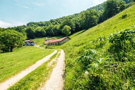 Bike & Cheese Alpe Bolla